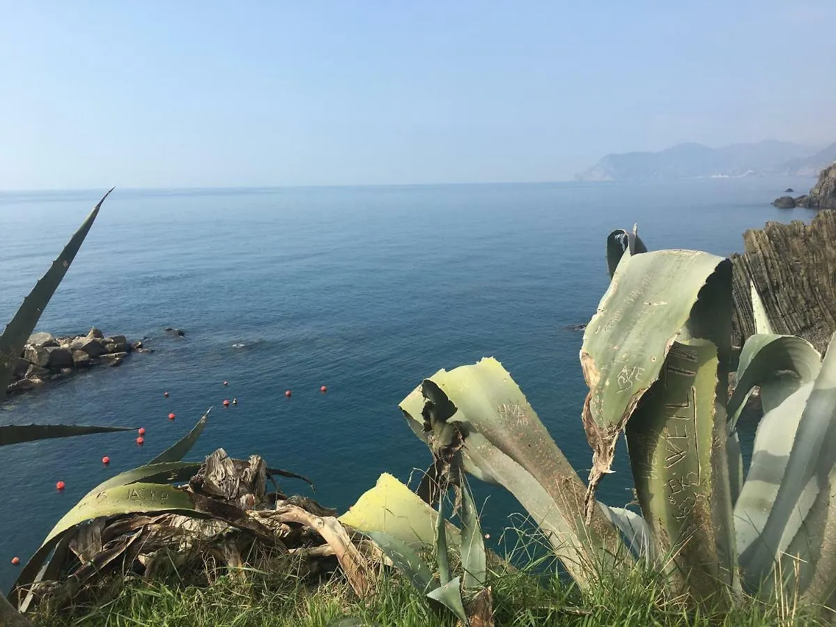 Casa D'Amore Riomaggiore Guest house