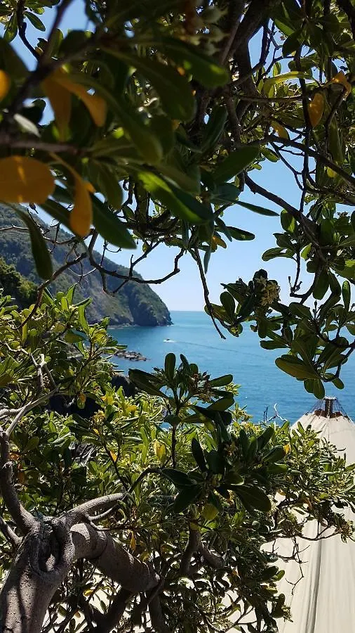 Guest house Casa D'Amore Riomaggiore